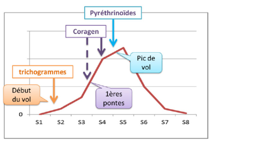 Figure 1 : Stratégie de lutte contre la pyrale du maïs