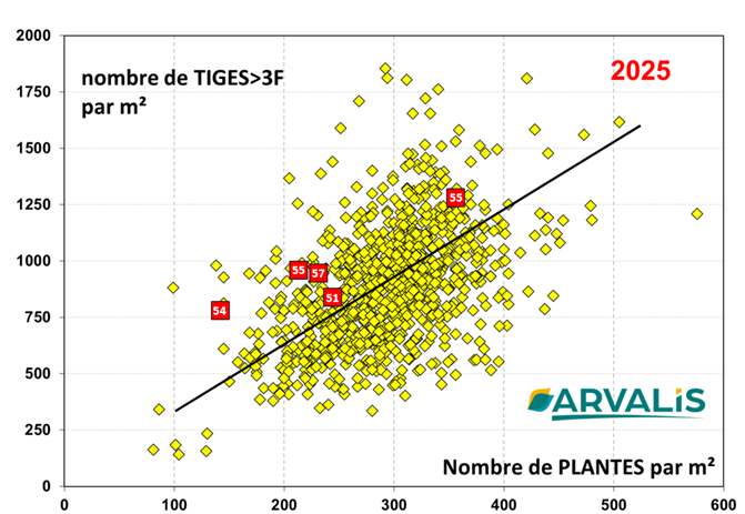 Figure n° 1 : Nombre de talles Blé>3F en fonction du nombre de plantes/m² - Observatoire ARVALIS