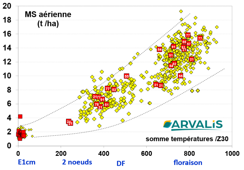 Figure n° 5 : MS aérienne à floraison. Observatoire ARVALIS