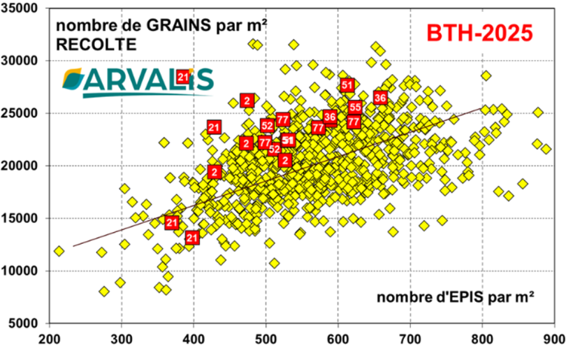 Figure n° 8 : Risque échaudage Grains Laiteux – Grains Pâteux – Arvalis/Météo France