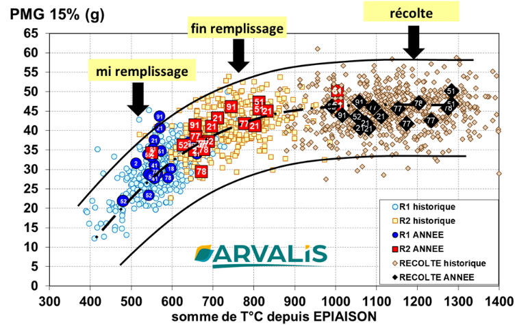 Figure n° 9 : Cinétique de remplissage des blés - Observatoire ARVALIS