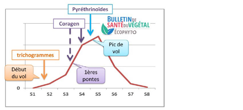 Figure 6 : Positionnement des méthodes de lutte en fonction du vol des pyrales