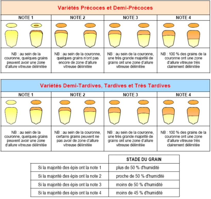 Figure 1 : grille d'estimation de l'humidité des grains de maïs