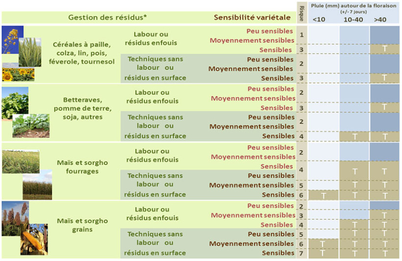Figure 2 : Grille d’évaluation du risque agronomique d’accumulation de déoxinivalénol (DON) sur blé tendre