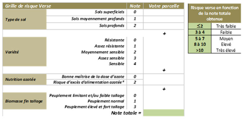 Tableau 1 : Grille d’estimation du risque verse en le blé tendre