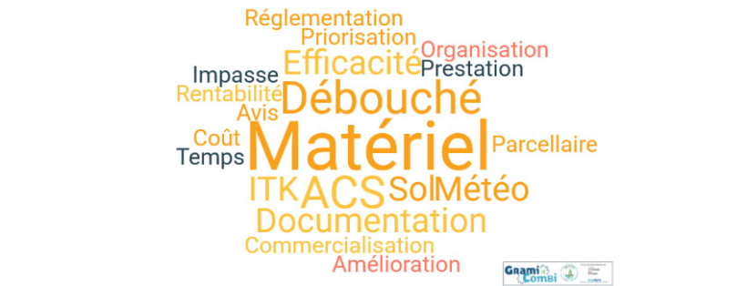 Figure 2 : Nuage de mots des freins à l’adoption des leviers de gestion des adventices graminées