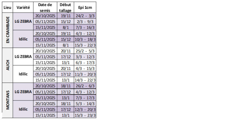 Tableau 3 : Dates prévisionnelles des stades début tallage et épi 1 cm en orge d’hiver selon la date de semis, la variété et la station