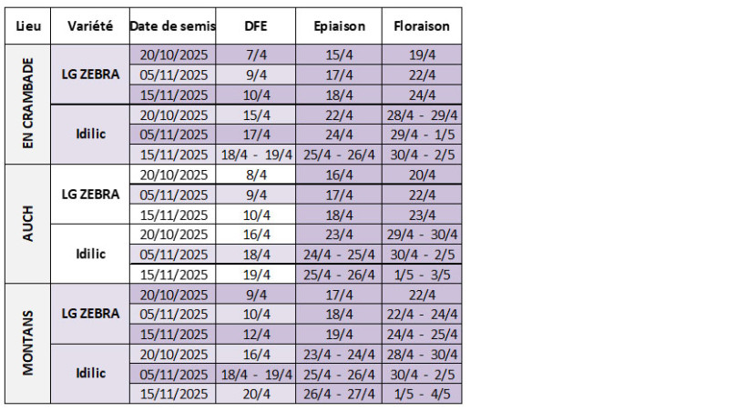Tableau 3 : Dates prévisionnelles des stades DFE à floraison en orge d’hiver selon la date de semis, la variété et la station