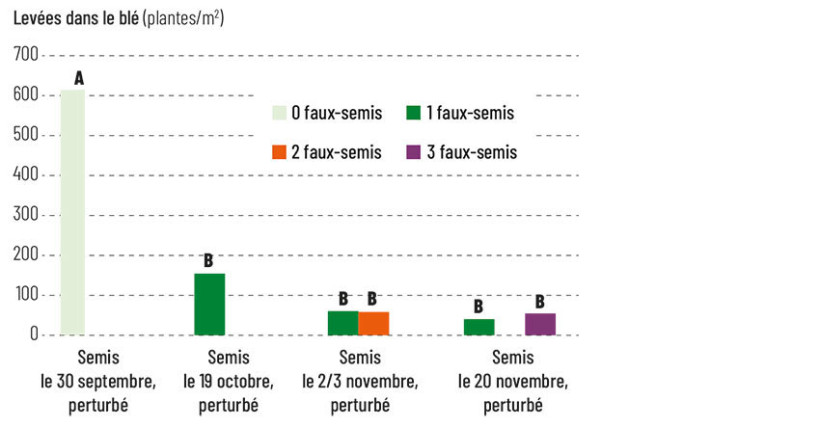 Figure 2 : Levées de vulpin dans le blé en fonction de la date de semis de la culture et du nombre de faux-semis qui précèdent – 4 essais 2006-2007