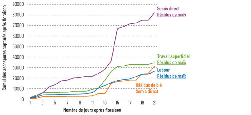 Figure 1 >>> Contaminations du blé en DON selon le type de résidus et la technique d’implantation