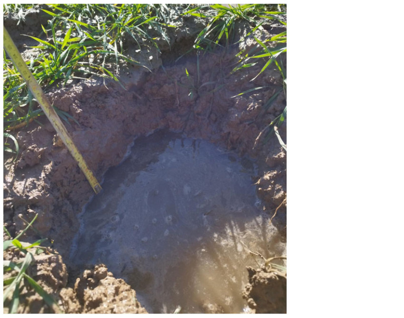 Eau proche de la surface du sol (Ploërmel - sol limon hydromorphe - 28/01/2026)