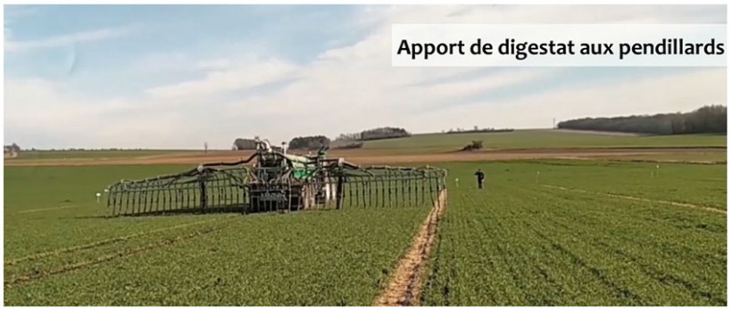 Apport de digestat au pendillard sur l’essai « digestat Vs minéral », implanté à Marsannay-le-Bois (21) – Mars 2022