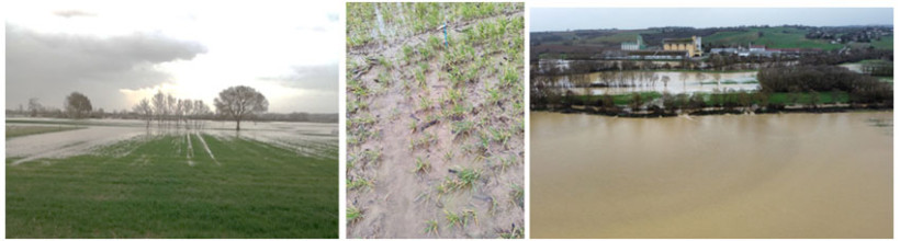 De gauche à droite : Verfeil (31) ; Engorgement d’une parcelle ; Saint Christie (32)