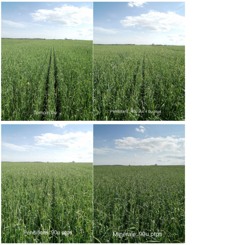 Essai bandes – Marsannay-le-Bois (21) – Mai 2022