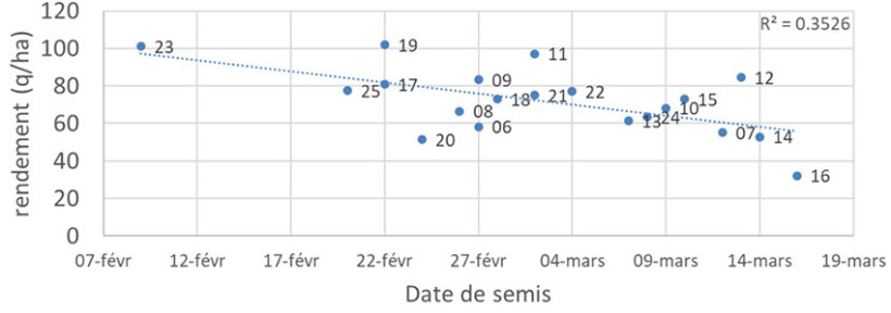 Figure 3 : Rendement de l'OP en fonction de la date de semis (essais de suivi physiologique en Plaine de Dijon, limons argileux profonds) de 2006 à 2025