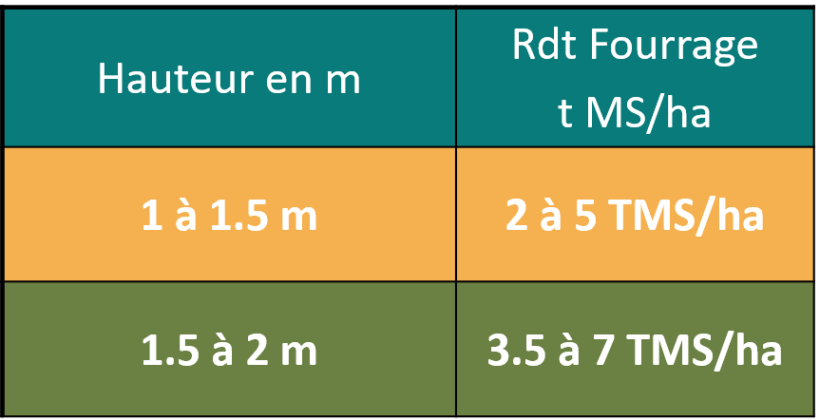 Tableau 2 : Quelques ordres de grandeurs selon la hauteur de plantes pour des peuplements supérieurs à 65 000 plantes/ha. 