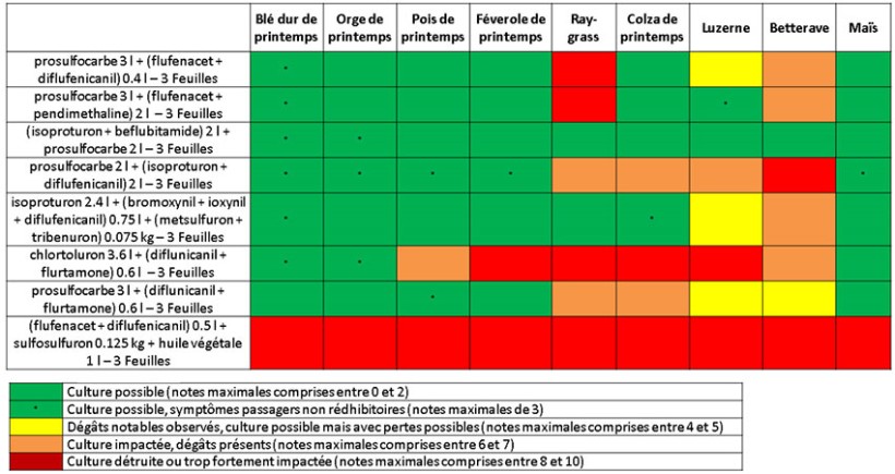Tableau 1 : Possibilité de réimplantation des cultures de printemps en fonction des programmes d’automne (essais ARVALIS à Boigneville (91) de 2013 à 2015)