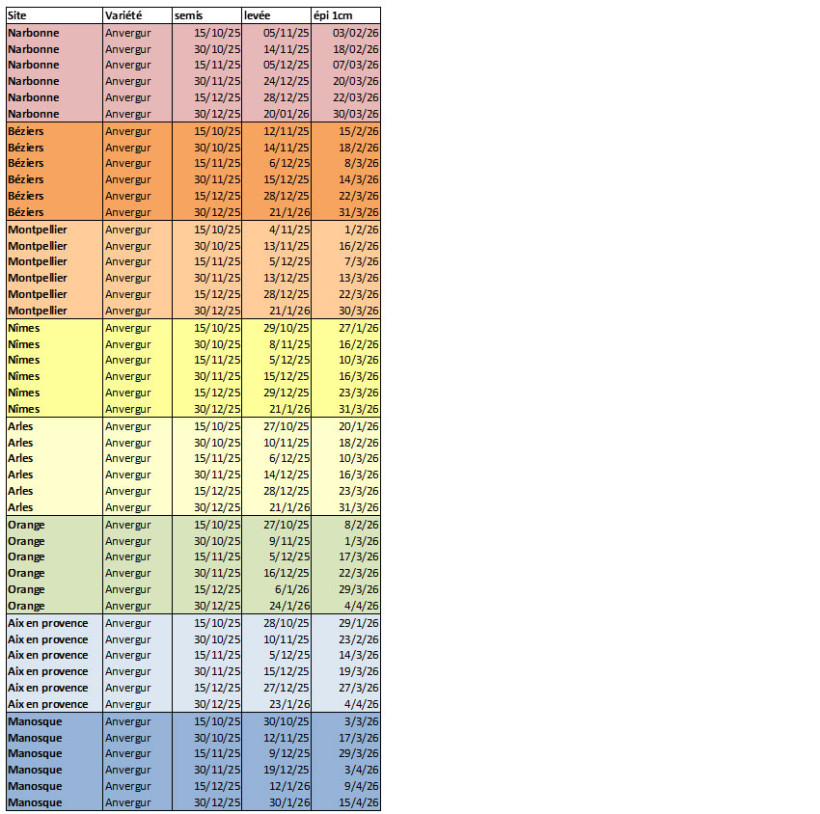 Tableau 2 : Modélisation de la date prévisionnelle d’atteinte du stade épi 1 cm selon le secteur et la date de semis
