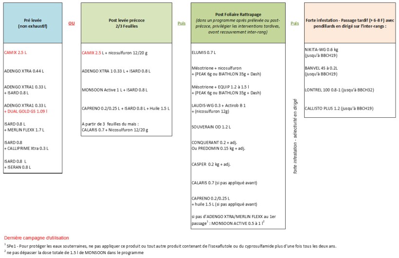 Tableau 1 : Exemples de programme de traitement pour lutter contre le datura en présence d’une flore mixte (graminées + autres dicotylédones)