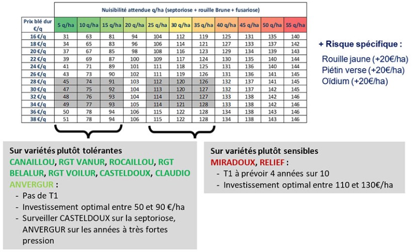 Tableau 1 : Enveloppe fongicide optimale en fonction de la nuisibilité attendue et du prix du blé dur attendu