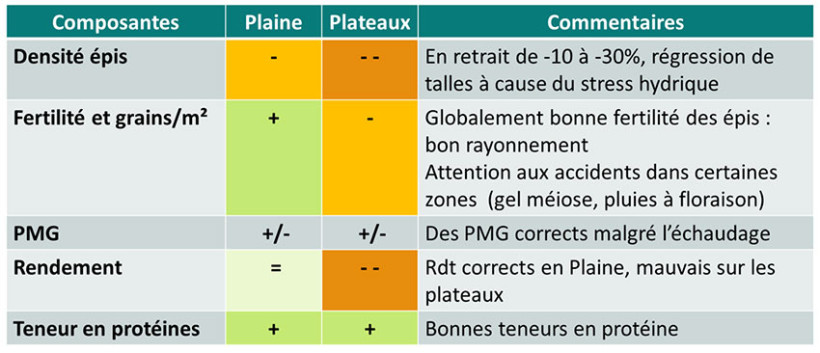 Les composantes de rendements en résumé