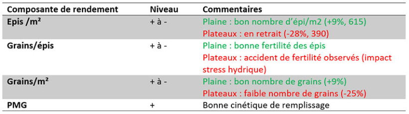 Les composantes de rendements en résumé