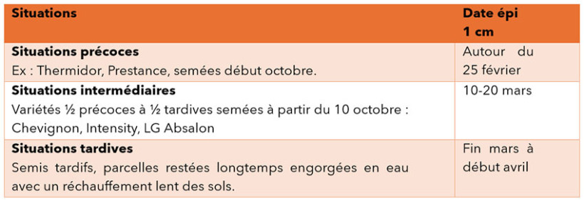 Tableau 1 : Estimation de l’apparition du stade épi 1 cm en blé tendre, selon la précocité 