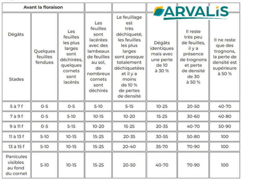 Tableau 1 : Estimation de l’impact de la grêle (pourcentage de pertes directes)