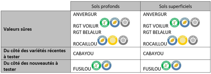 Tableau 1 : Les variétés de blé dur recommandées en 2025-2026 selon le type de sol