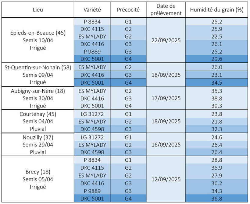 Tableau 1 : Humidité du grain en % pour différentes variétés et différentes stations