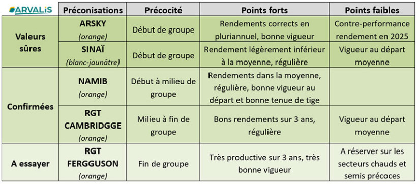 Tableau 1 : Variétés de sorgho grain recommandée pour les semis 2026 en région Centre / Ile-de-France