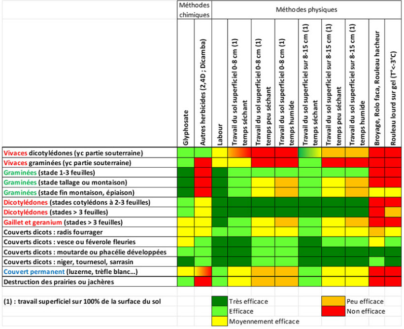 Tableau 1 : Efficacité de différentes techniques de destruction des couverts végétaux et de quelques espèces adventices - Glyphosate à la dose homologuée de 1080 g/ha