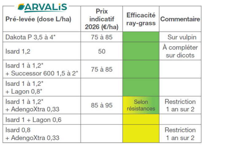 Tableau 1 : quelques exemples de solutions de prélevée ciblant ray-grass et vulpin dans le maïs