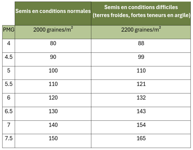 Tableau 1 : Dose kg/ha pour obtenir 1500 à 1600 plantes/m² en sortie hiver