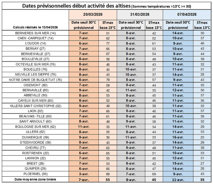 Tableau 1 : Dates prévisionnelles du début du pic d’activité des altises en fonction de la date de semis et du climat