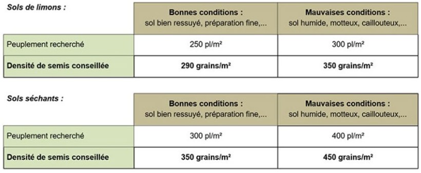 Tableau 1 : Objectifs de densité de semis pour de l’orge de printemps semée entre le 20 février et le 15 mars