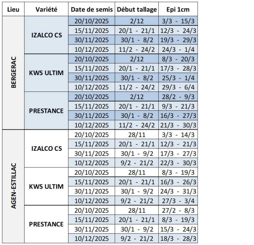 Tableau 1 : Dates prévisionnelles des stades début tallage et épi 1 cm en blé tendre selon la date de semis, la variété et la station