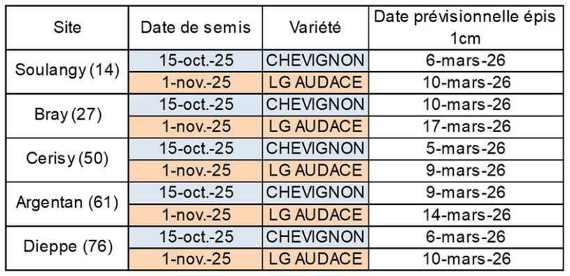 Tableau 1 : Représentation de l’arrivée du stade épi 1 cm avec différents cas-types (variation de lieu, date de semis et variété)