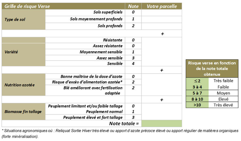 Tableau 1 : Grille d’évaluation du risque verse sur blé tendre 