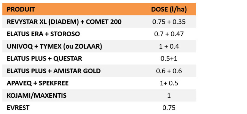 Tableau 1 : Exemples de traitements fongicides (non exhaustif)