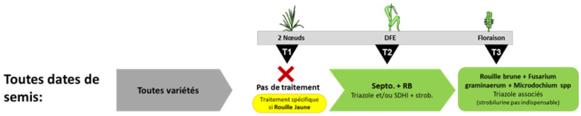 Tableau 1 : Propositions de programmes en blé dur en 2026