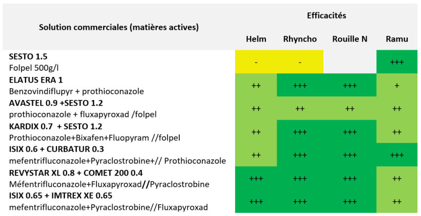 Tableau 1 : Quelques propositions de programmes (listes non exhaustives) 