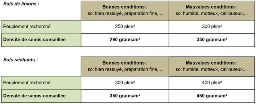 Tableau 1 : Objectifs de densité de semence pour un semis du 20 février au 15 mars