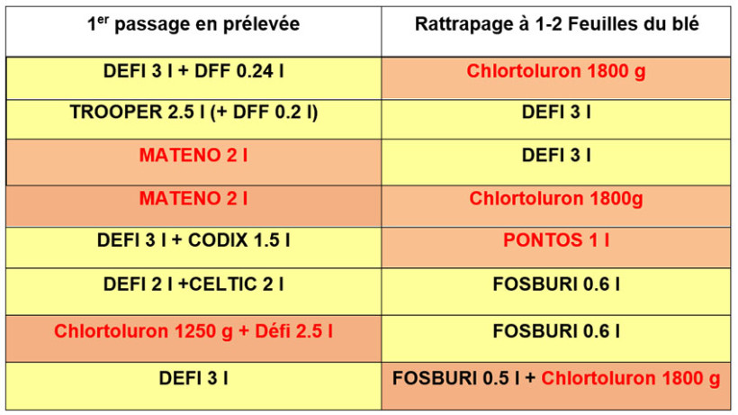 Tableau 1 : Exemples de programmes blé tendre en deux passages à l’automne efficaces sur ray-grass ou vulpin - les produits en rouge sont interdits sur sols drainés (propositions non exhaustives)