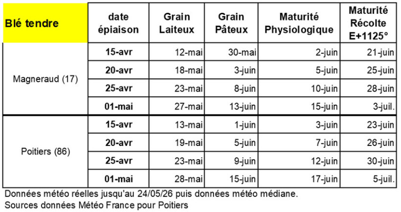 Tableau 1 : Prévision des étapes de formation du grain et de maturation pour les blés tendres en fonction des dates d’épiaison