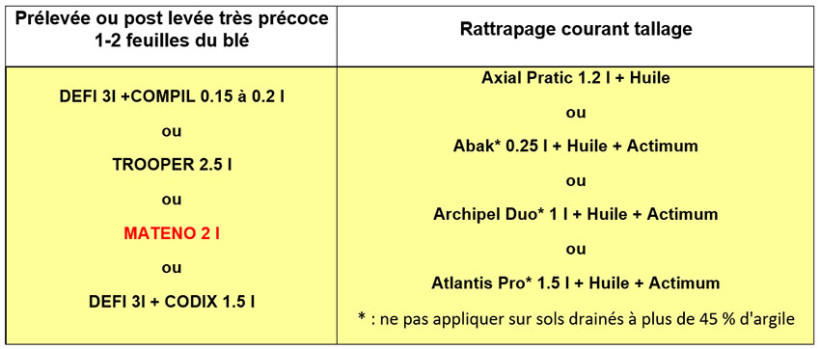 Tableau 1 : Exemples de programmes sur blé tendre efficaces sur ray-grass ou vulpin non résistants aux produits foliaires - les solutions en rouge sont interdites sur sols drainés
