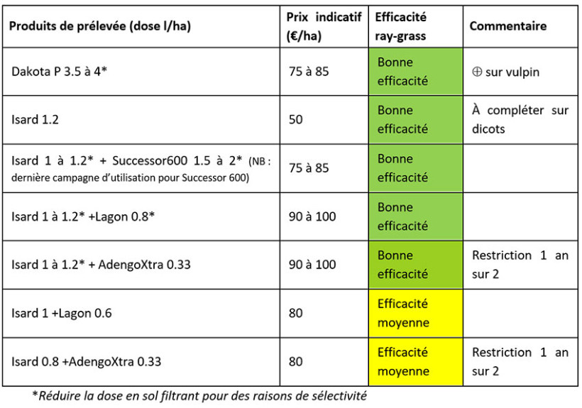 Tableau 1 : Solutions possibles en prélevée pour désherber le ray-grass