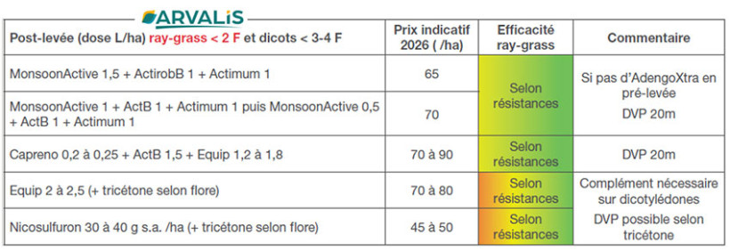 Tableau 2 : Quelques exemples de solutions de rattrapage en postlevée ciblant ray-grass et vulpin dans le maïs