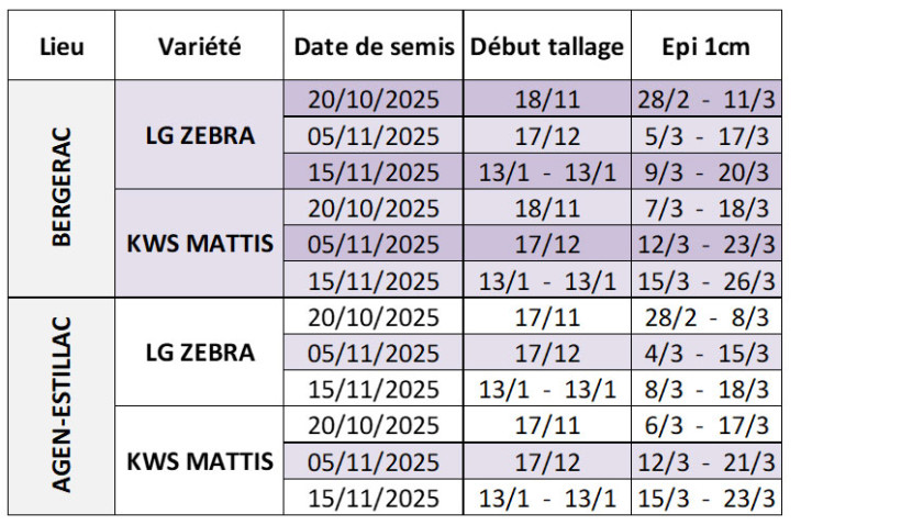 Tableau 2 : Dates prévisionnelles des stades début tallage et épi 1 cm en orge d’hiver selon la date de semis, la variété et la station