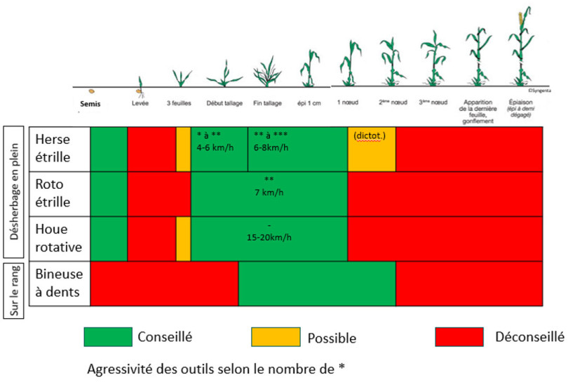 Tableau 2 :  Préconisations de désherbage mécanique sur céréales, en fonction du stade de la culture